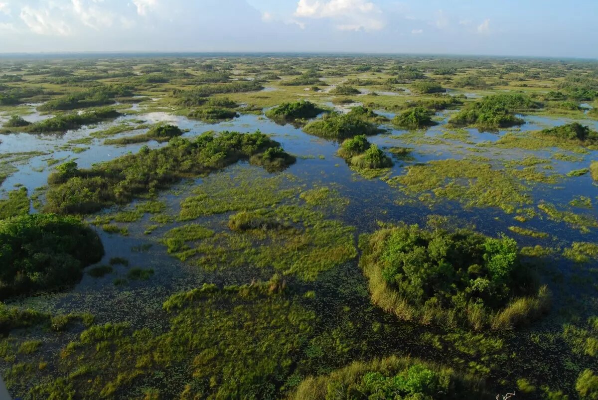 Aerial view of the lands and waters that make up the Everglades at Arthur R. Marshall Loxahatchee National Wildlife Refuge.